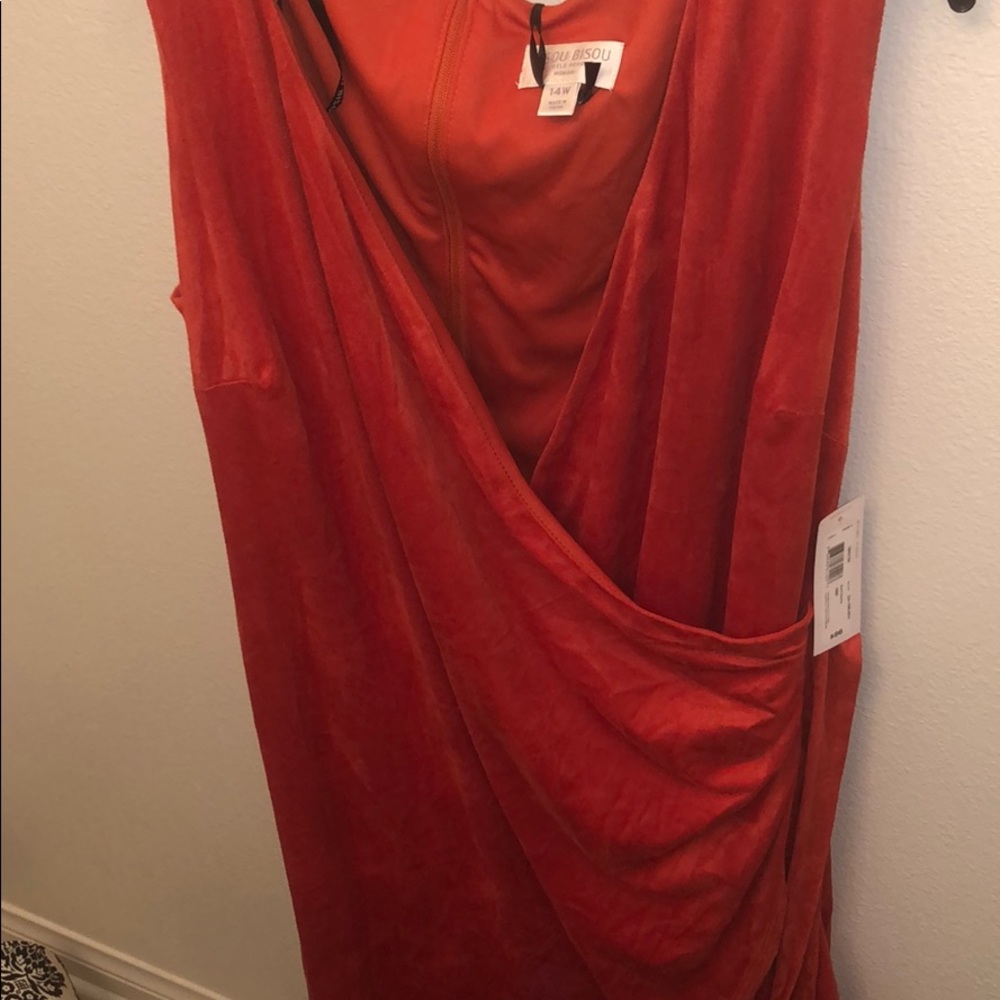 Bisou Bisou Burnt Sienna Dress